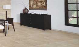 2009���ǌ��Ї�ÿһ����I�ġ�ȫ���w�z��